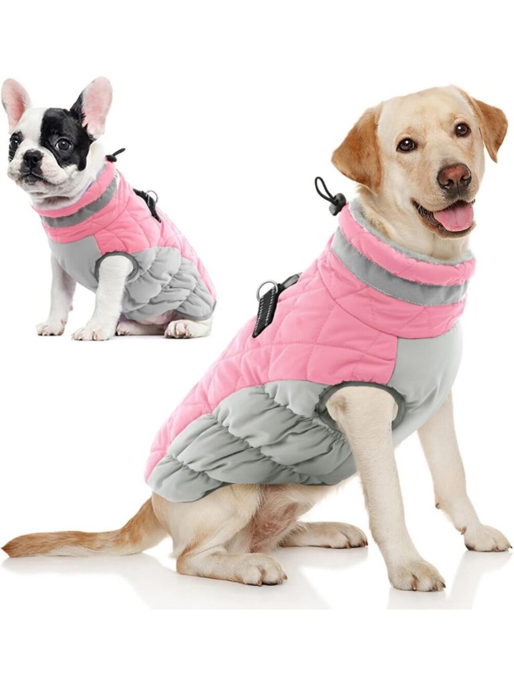 Cozy Waterproof Dog Winter Coat with Harness - Warm Jacket for Dogs